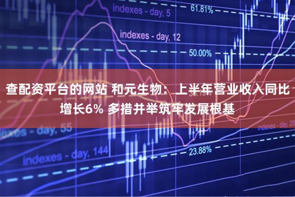 查配资平台的网站 和元生物：上半年营业收入同比增长6% 多措并举筑牢发展根基